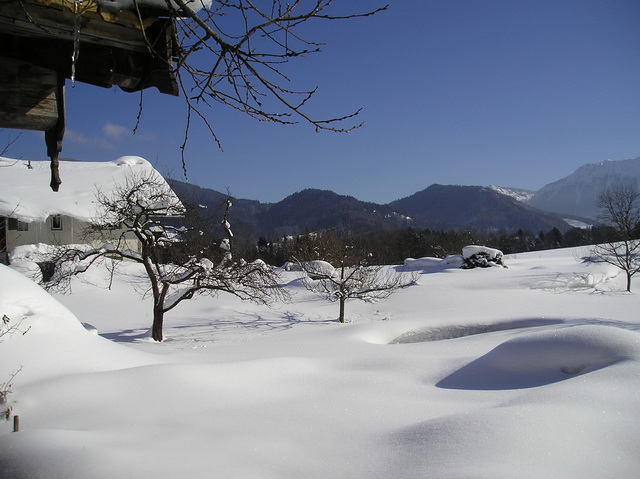 Winter Wunderland am Hof